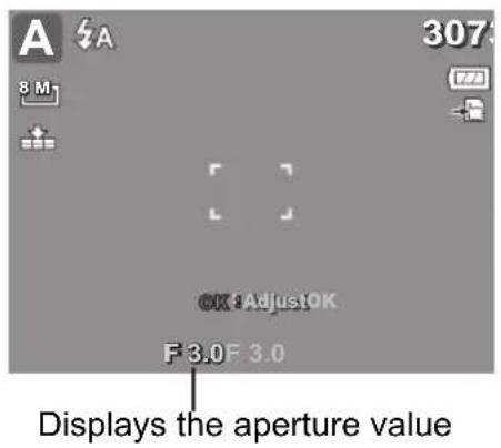 A 8 M 307 OK AdjustOK F 3.0 F 3.0 Displays the aperture value