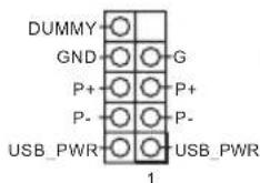 DUMMY GND P+ P- USB_PWR G P+ P- USB_PWR 1