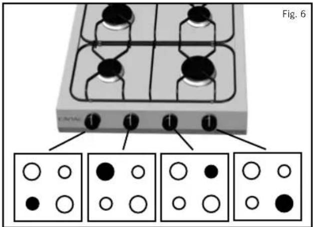 Fig. 6