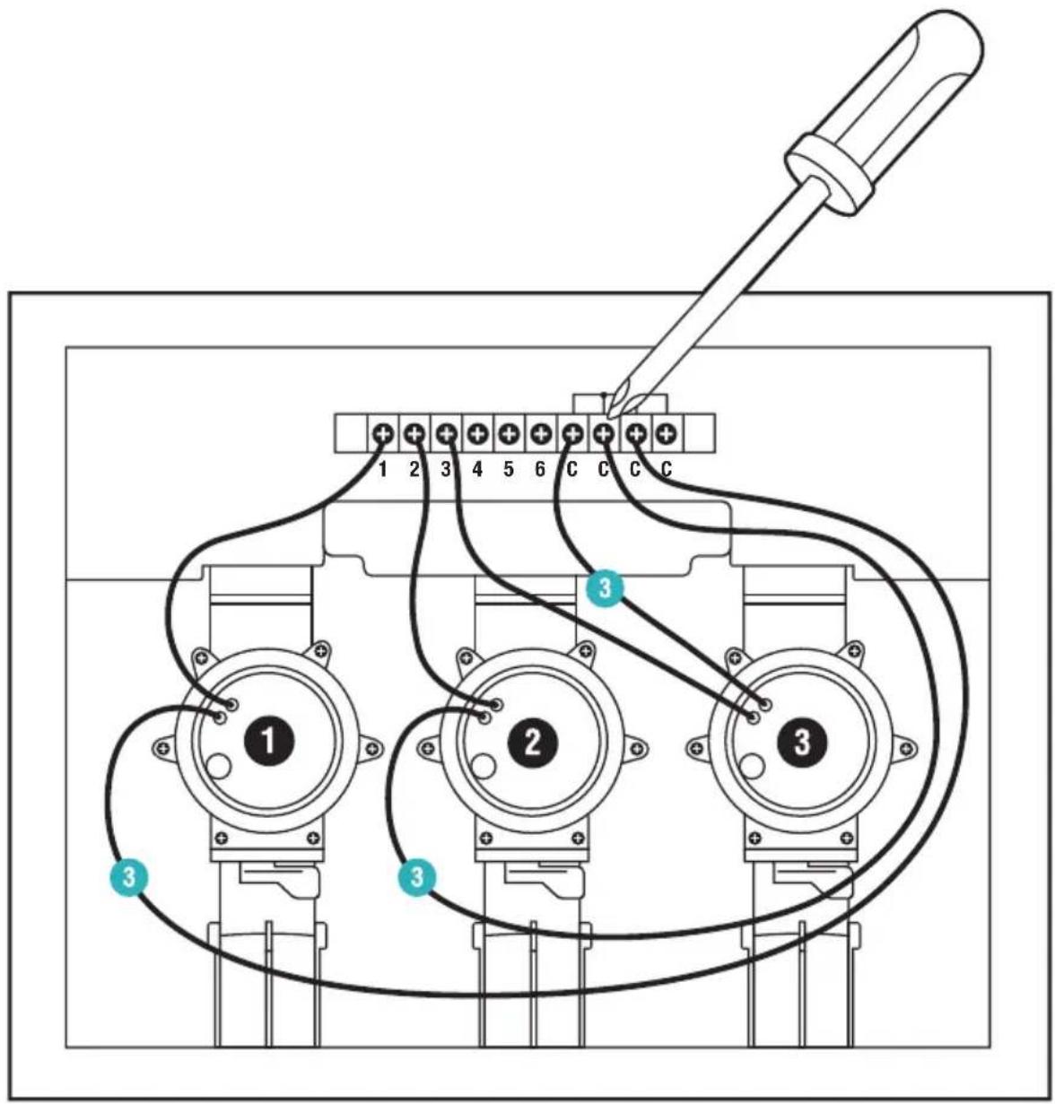1 2 3 4 5 6 C C C 1 2 3 4 5 6 C C C 3 3 3