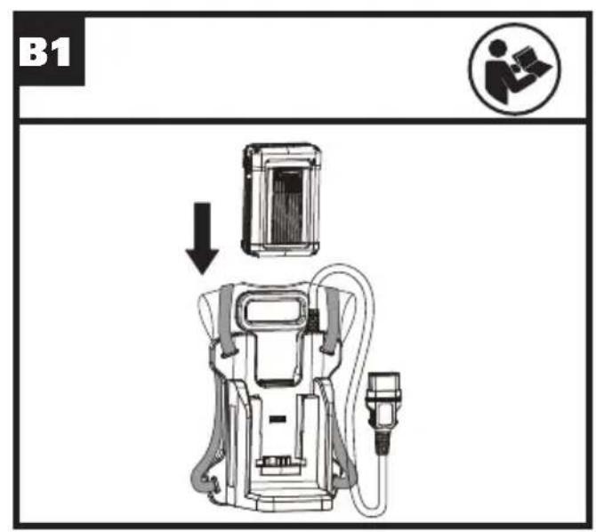 B1