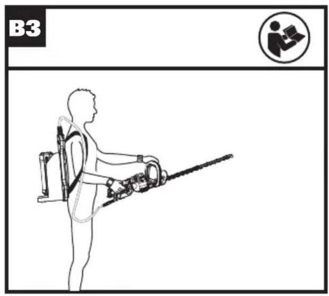 B3