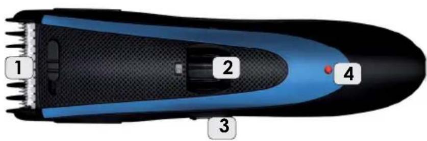 1 2 3 4