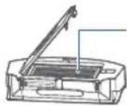 EUREKA NER650 - ■ Dustbin maintenance (weekly cleaning recommended) - 3