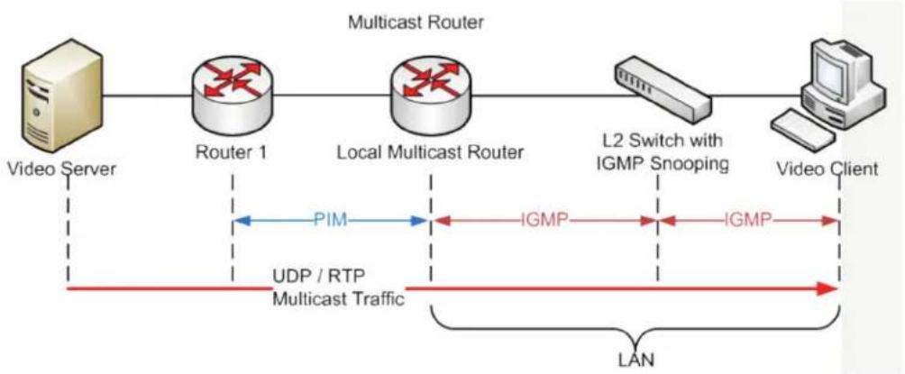Black Box LIE1014A - Explanation of IGMP - 1