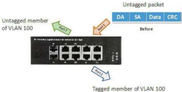 Black Box LIE1014A - Example 2: Port-based VLANs - 1