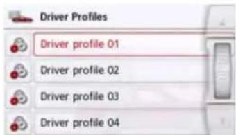Driver Profiles Driver profile 01 Driver profile 02 Driver profile 03 Driver profile 04