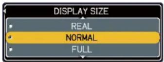 DISPLAY SIZE REAL NORMAL FULL