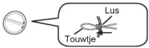 Lus Touwtje