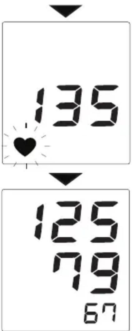 135 125 79 67