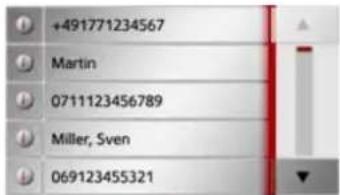 +491771234567 Martin 0711123456789 Miller, Sven 069123455321