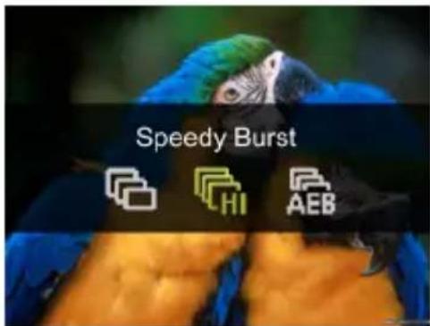 Speedy Burst Hi AEB