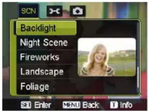 Backlight Night Scene Fireworks Landscape Foliage