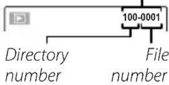 100-0001 Directory number File number