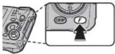 Diagram showing camera control panel with DSF and F buttons, including a directional arrow indicating action
