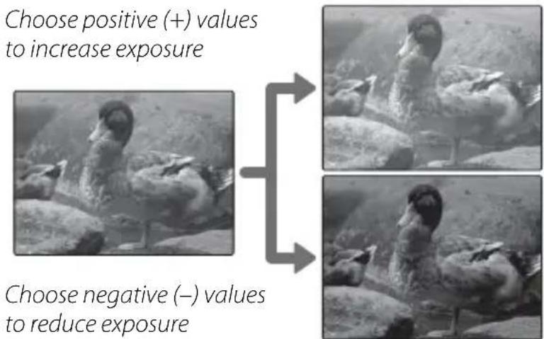 Choose positive (+) values to increase exposure Choose negative (−) values to reduce exposure