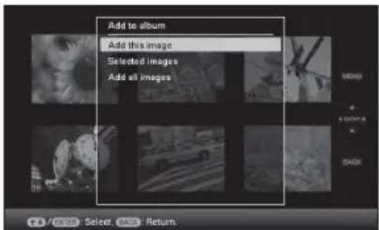 Add to album: Add this image, Selected images, Add all images. MENU, A CUSTOM, BACK, 1/12/05 Select. BACK: Return.