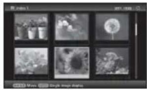 Grid of six grayscale photos showing sunflowers, flowers, and a dandelion (no text or symbols).