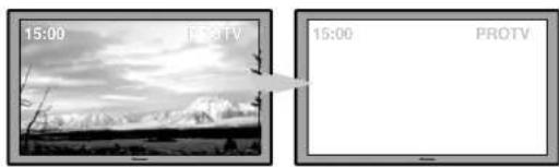 PIONEER PDP-LX508G - Ejemplos de visualización susceptibles al quemado - 1
