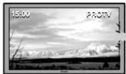 PIONEER PDP-LX508G - Display examples susceptible to burning - 1