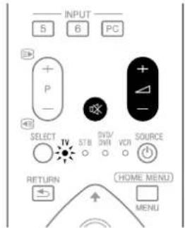 INPUT 5 6 PC + P - SELECT TV STB DVD/ VCI SOURCE RETURN HOME MENU MENU