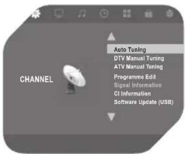 OK OLE 244 B-D4 - DVB-Typ wählen - 1