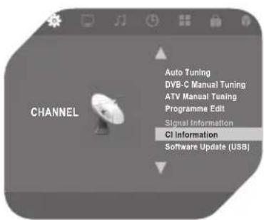 OK OLE 244 B-D4 - Edición de Programas - 1
