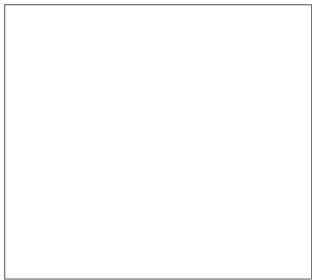 Blank white image with no visible content, text, or symbols