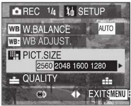 REC 1/4 SETUP WB W.BALANCE AUTO WB: WB ADJUST. PICT.SIZE 2560 2048 1600 1280 QUALITY EXITSMENU