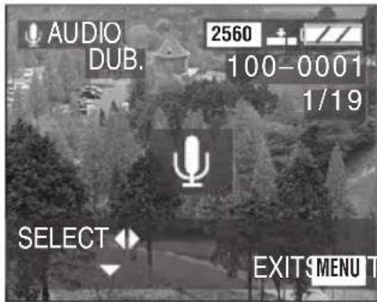AUDIO DUB. 2560 100-0001 1/19 SELECT EXITSMENU T