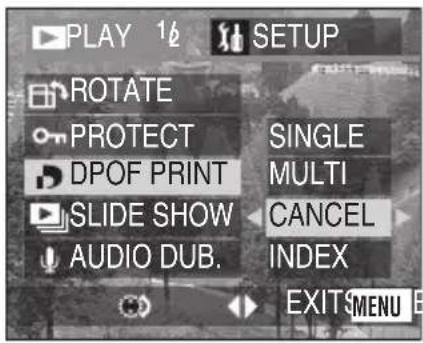 PLAY 1¢ SETUP ROTATE PROTECT SINGLE DPOF PRINT MULTI SLIDE SHOW CANCEL AUDIO DUB. INDEX EXIT$MENU B