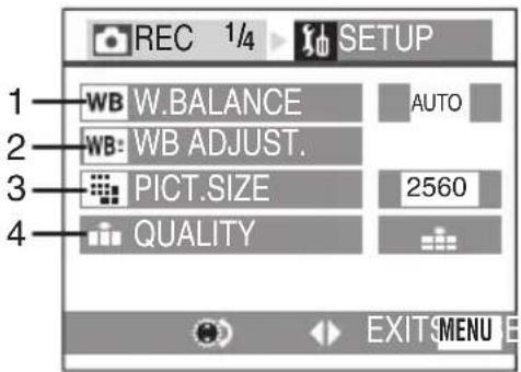REC 1/4 SETUP 1 WB W.BALANCE AUTO 2 WB WB ADJUST. 3 PICT.SIZE 2560 4 QUALITY EXIT MENU
