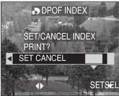 DPOF INDEX SET/CANCEL INDEX PRINT? SET CANCEL SETSEL