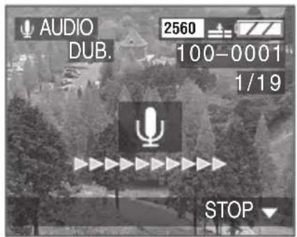AUDIO DUB. 2560 100-0001 1/19 STOP