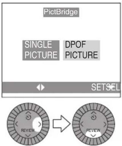 PictBridge SINGLE DPOF PICTURE PICTURE SETSEL REVIEW REVIEW