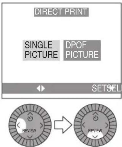 DIRECT PRINT SINGLE PICTURE DPOF PICTURE SETSEL REVIEW REVIEW