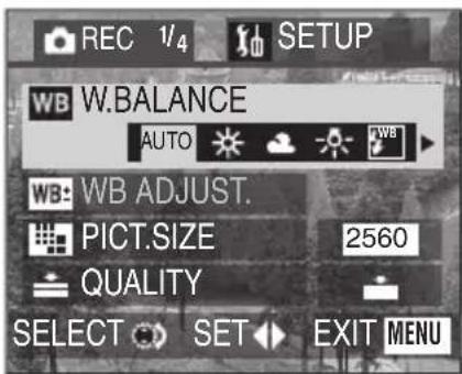 REC 1/4 SETUP WB W.BALANCE AUTO FW8 WB: WB ADJUST. PICT.SIZE 2560 QUALITY SELECT SET EXIT MENU