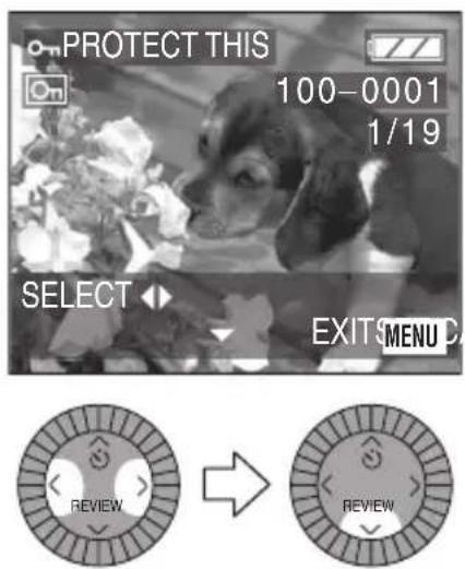 on PROTECT THIS 100-0001 1/19 SELECT EXIT MENU D REVIEW REVIEW