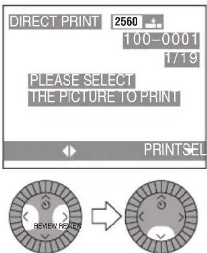 DIRECT PRINT 2560 100-0001 1/19 PLEASE SELECT THE PICTURE TO PRINT PRINTSEL REVIEW REVIEW