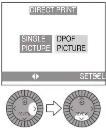 DIRECT PRINT SINGLE DPOF PICTURE PICTURE SETSEL REVIEW REVIEW