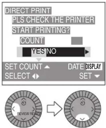 DIRECT PRINT PLS CHECK THE PRINTER START PRINTING? COUNT YES NO SET COUNT ▲ DATE DISPLAY SELECT ◆ SET ▼ REVIEW REVIEW
