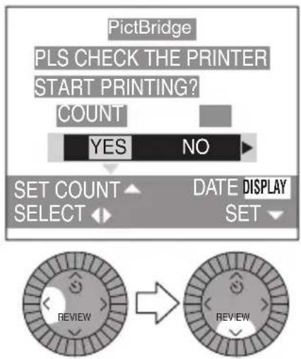 PictBridge PLS CHECK THE PRINTER START PRINTING? COUNT YES NO SET COUNT DATE DISPLAY SELECT SET REVIEW REVIEW