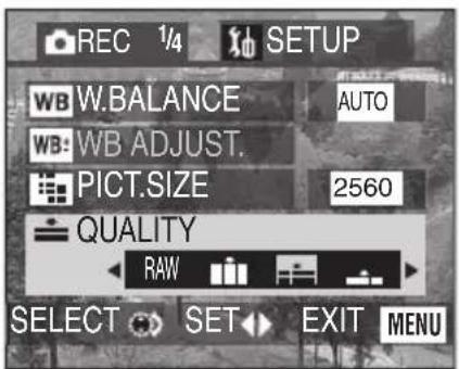 REC 1/4 SETUP WB W.BALANCE AUTO WB WB ADJUST. PICT.SIZE 2560 QUALITY RAW SELECT SET EXIT MENU