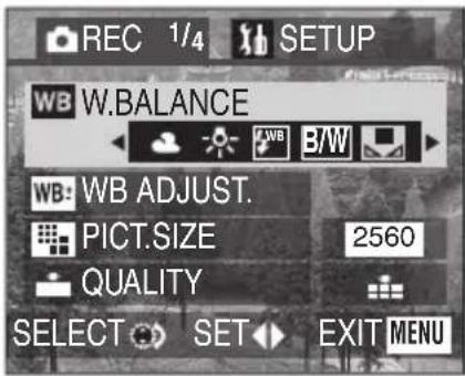 REC 1/4 SETUP WB W.BALANCE WB: WB ADJUST. PICT.SIZE 2560 QUALITY SELECT SET EXIT MENU