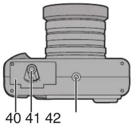 40 41 42