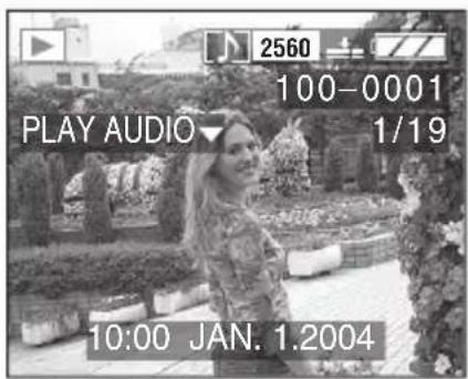 2560 100-0001 PLAY AUDIO ▼ 1/19 10:00 JAN. 1.2004