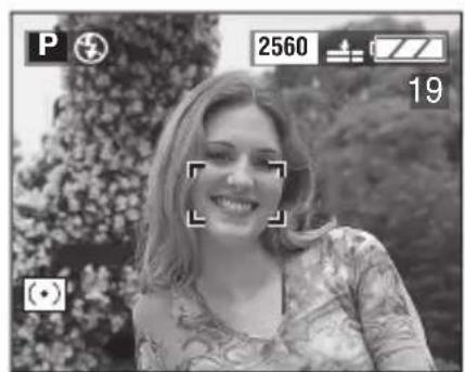 P 2560 19