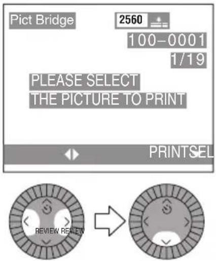 Pict Bridge 2560 100-0001 1/19 PLEASE SELECT THE PICTURE TO PRINT PRINTSEL REVIEW REVIEW