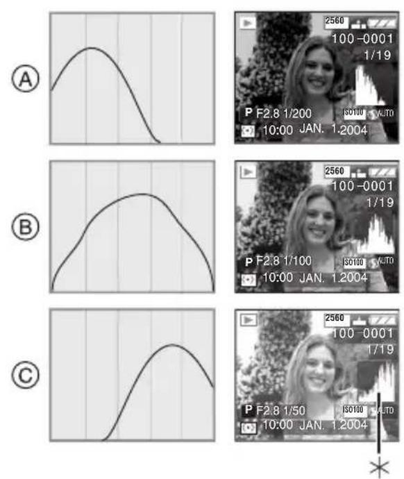PANASONIC Lumix DMC-LC1PP - About the Histogram - 1