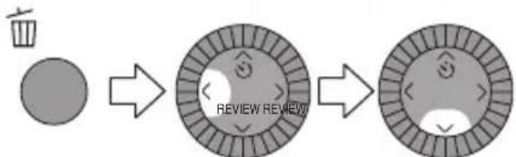 PANASONIC Lumix DMC-LC1PP - ■ Deleting the recorded picture during the review - 2
